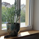 3-er Zimmer links, Ausblick