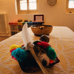 Schamanische Heil- und Energiearbeit Eagle Coaching