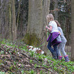 Auf der Suche nach den ersten Hinweisen