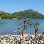falscher Silbersee