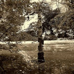The secret garden 2008
