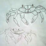 © sjablonger for krabbene
