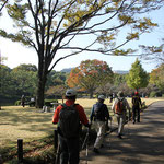 北の丸公園内をウォーキング