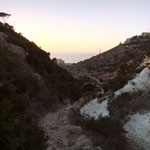 Haifa