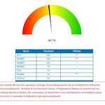 Fit solutions plus