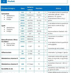 Test genetico Fit solutions plus