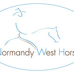 Normandy West Horse (photo : https://www.normandywesthorse.com/)