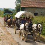 Écuries de la Gare (photo : http://equitation-normandie.fr/attelage)