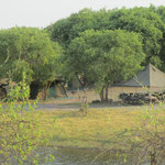 Zicht op ons kamp, Savuti gebied - Chobe National Park