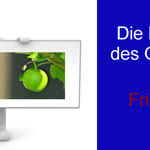 DIE FRUCHT DES GEISTES:  FRIEDEN