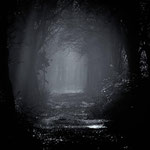  Winterwald. Roland Zschornack