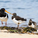 Family Portrait. Roland Zschornack