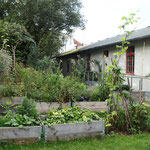 Bunkergarten. Elke Riesmeier