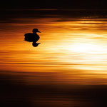 Sonnenuntergang Tammo Gerdes-Röben