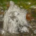 Geysir. Wilfried Vogelpohl