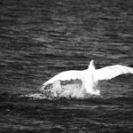 Abflug. Barbara Kosuch