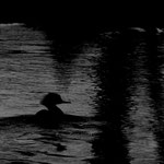 Black in Black. Ralf Ehben
