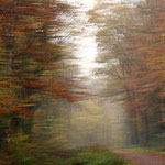 Elke Riesmeier, Herbststurm