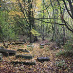 Heeper Fichten, Waldlichtung mit bezeichneten Steinen, Herbst 2012