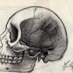 "Cranio" - Marilde Mirra