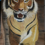 Tiger    Acryl auf Leinwand  40 x 90  CHF 800