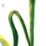 Grünpflanze    Acryl auf Leinwand  40 x 90  CHF 300