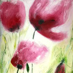 Mohn    Acryl auf Leinwand  60 x 60  CHF 400