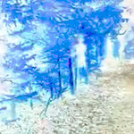 Forest serie 2