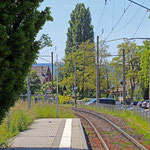 Schweizer-Eisenbahnen - Bahnhof Mannenbach-Salenstein