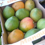 Reife Mangos