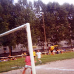 81