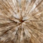 Bild 34