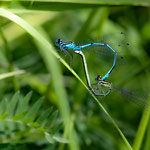 Bild 25