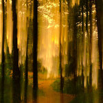 Bild 24