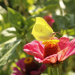 Bild 24