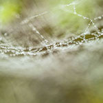 Bild 32