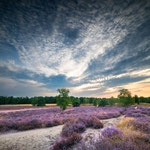 Westruper Foto Heide M.Wasserschaff