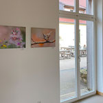 Blick zum Schoppmanns Hof
