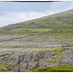 Ile d'Aran : Inis Mor