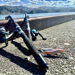 レンタル釣竿で釣りを楽しむこともできます。