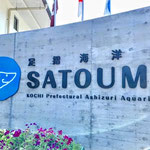 土佐清水市にはかわいい水族館があります。