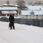 Norwegisches Fortbewegunsmittel