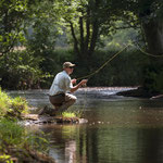 roulotte proche de la rivière