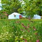 gay friendly bed and breakfast