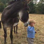 farm holidays with children