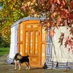 yurt massive-central