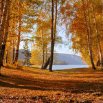 the lake in autumn