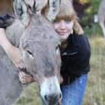 donkey discovery course