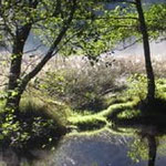 cottage to rent in france