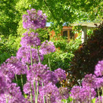 jardin